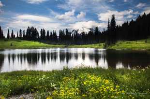 Tipsoo Lake and Mt. Rainier-2559